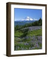 Mt. Rainer in distance, Meadows, Adams Wilderness, Mt, Washington, USA-Charles Gurche-Framed Photographic Print