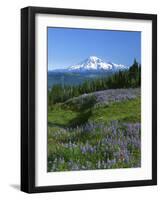 Mt. Rainer in distance, Meadows, Adams Wilderness, Mt, Washington, USA-Charles Gurche-Framed Photographic Print