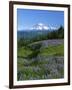 Mt. Rainer in distance, Meadows, Adams Wilderness, Mt, Washington, USA-Charles Gurche-Framed Photographic Print