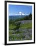 Mt. Rainer in distance, Meadows, Adams Wilderness, Mt, Washington, USA-Charles Gurche-Framed Photographic Print