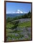 Mt. Rainer in distance, Meadows, Adams Wilderness, Mt, Washington, USA-Charles Gurche-Framed Photographic Print