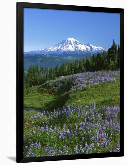 Mt. Rainer in distance, Meadows, Adams Wilderness, Mt, Washington, USA-Charles Gurche-Framed Photographic Print