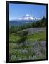 Mt. Rainer in distance, Meadows, Adams Wilderness, Mt, Washington, USA-Charles Gurche-Framed Photographic Print