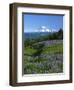 Mt. Rainer in distance, Meadows, Adams Wilderness, Mt, Washington, USA-Charles Gurche-Framed Photographic Print