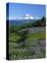 Mt. Rainer in distance, Meadows, Adams Wilderness, Mt, Washington, USA-Charles Gurche-Stretched Canvas