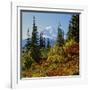 Mt Rainier Above Autumn Huckleberry, Chinook Pass, Washington, USA-Charles Gurche-Framed Photographic Print