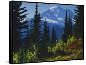 Mt. Rainier above autumn Huckleberry, Mt. Rainier National Park, Washington, USA-Charles Gurche-Framed Stretched Canvas