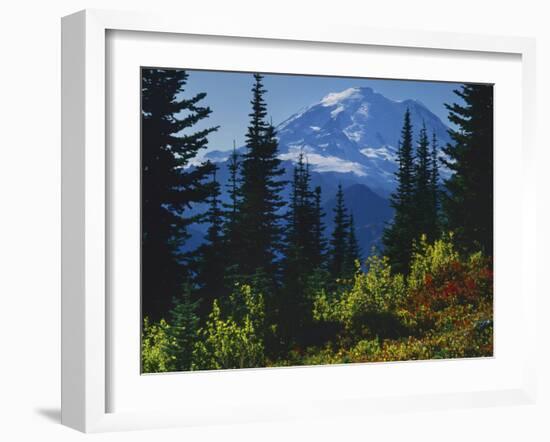 Mt. Rainier above autumn Huckleberry, Mt. Rainier National Park, Washington, USA-Charles Gurche-Framed Premium Photographic Print