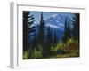 Mt. Rainier above autumn Huckleberry, Mt. Rainier National Park, Washington, USA-Charles Gurche-Framed Premium Photographic Print