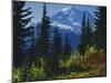 Mt. Rainier above autumn Huckleberry, Mt. Rainier National Park, Washington, USA-Charles Gurche-Mounted Photographic Print