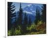 Mt. Rainier above autumn Huckleberry, Mt. Rainier National Park, Washington, USA-Charles Gurche-Framed Photographic Print