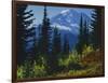 Mt. Rainier above autumn Huckleberry, Mt. Rainier National Park, Washington, USA-Charles Gurche-Framed Photographic Print