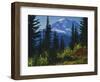 Mt. Rainier above autumn Huckleberry, Mt. Rainier National Park, Washington, USA-Charles Gurche-Framed Photographic Print