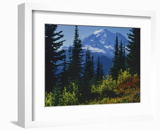 Mt. Rainier above autumn Huckleberry, Mt. Rainier National Park, Washington, USA-Charles Gurche-Framed Photographic Print