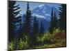 Mt. Rainier above autumn Huckleberry, Mt. Rainier National Park, Washington, USA-Charles Gurche-Mounted Photographic Print