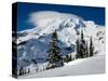 Mt. Rainier after Winter Snowstorm, Mt. Rainier National Park, Washington, USA-Jamie & Judy Wild-Stretched Canvas