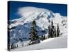 Mt. Rainier after Winter Snowstorm, Mt. Rainier National Park, Washington, USA-Jamie & Judy Wild-Stretched Canvas