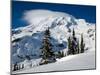 Mt. Rainier after Winter Snowstorm, Mt. Rainier National Park, Washington, USA-Jamie & Judy Wild-Mounted Premium Photographic Print