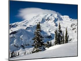 Mt. Rainier after Winter Snowstorm, Mt. Rainier National Park, Washington, USA-Jamie & Judy Wild-Mounted Premium Photographic Print