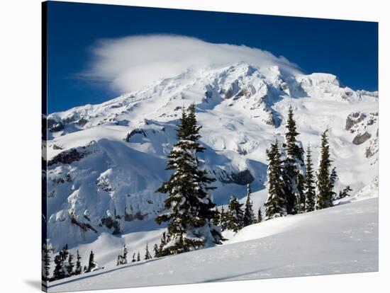 Mt. Rainier after Winter Snowstorm, Mt. Rainier National Park, Washington, USA-Jamie & Judy Wild-Stretched Canvas