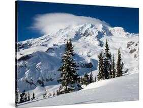 Mt. Rainier after Winter Snowstorm, Mt. Rainier National Park, Washington, USA-Jamie & Judy Wild-Stretched Canvas