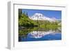 Mt Rainier and Bench Lake-null-Framed Art Print