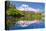 Mt Rainier and Bench Lake-null-Stretched Canvas