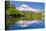 Mt Rainier and Bench Lake-null-Stretched Canvas