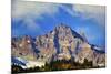 Mt. Rainier and Fall Colors, Mt.Rainier National Park, Washington State, USA-Craig Tuttle-Mounted Photographic Print