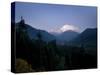 Mt. Rainier at Dawn, Washington State, USA-Aaron McCoy-Stretched Canvas