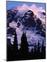 Mt. Rainier at sunrise, Mt. Rainier National Park, Washington, USA-Charles Gurche-Mounted Photographic Print