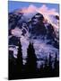 Mt. Rainier at sunrise, Mt. Rainier National Park, Washington, USA-Charles Gurche-Mounted Photographic Print