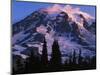 Mt. Rainier at sunrise, Mt. Rainier National Park, Washington, USA-Charles Gurche-Mounted Photographic Print