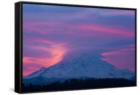 Mt Rainier at Sunrise, Washington, USA-Art Wolfe-Framed Stretched Canvas