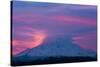 Mt Rainier at Sunrise, Washington, USA-Art Wolfe-Stretched Canvas