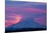 Mt Rainier at Sunrise, Washington, USA-Art Wolfe-Mounted Photographic Print