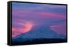 Mt Rainier at Sunrise, Washington, USA-Art Wolfe-Framed Stretched Canvas