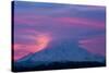 Mt Rainier at Sunrise, Washington, USA-Art Wolfe-Stretched Canvas