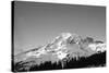 Mt Rainier at Sunset, Mt Rainier National Park, Washington, USA-Paul Souders-Stretched Canvas