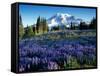 Mt. Rainier from Mazama Ridge, Mount Rainier National Park, Washington, USA-Jamie & Judy Wild-Framed Stretched Canvas