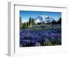 Mt. Rainier from Mazama Ridge, Mount Rainier National Park, Washington, USA-Jamie & Judy Wild-Framed Photographic Print