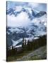 Mt. Rainier from Paradise Meadows, Mt. Rainier National Park, Washington, USA-Charles Gurche-Stretched Canvas