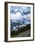 Mt. Rainier from Paradise Meadows, Mt. Rainier National Park, Washington, USA-Charles Gurche-Framed Photographic Print