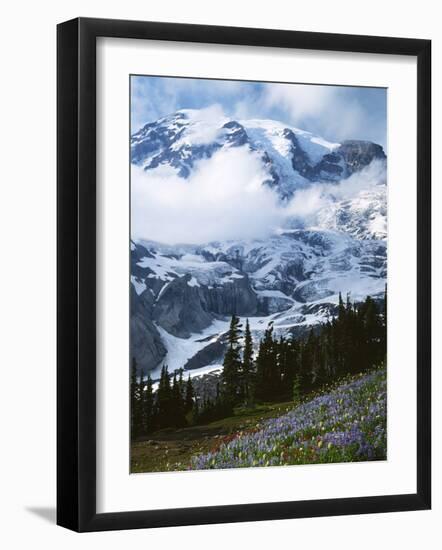 Mt. Rainier from Paradise Meadows, Mt. Rainier National Park, Washington, USA-Charles Gurche-Framed Photographic Print