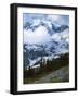 Mt. Rainier from Paradise Meadows, Mt. Rainier National Park, Washington, USA-Charles Gurche-Framed Photographic Print