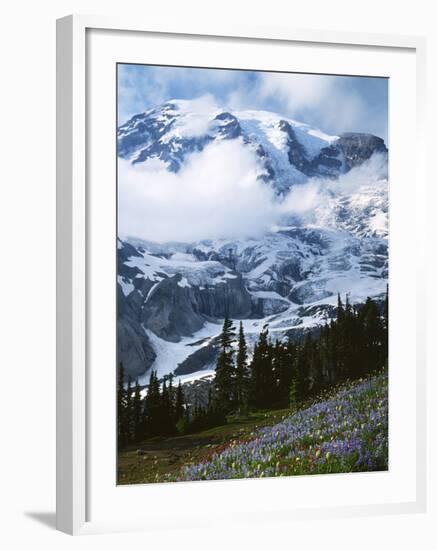 Mt. Rainier from Paradise Meadows, Mt. Rainier National Park, Washington, USA-Charles Gurche-Framed Photographic Print