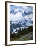 Mt. Rainier from Paradise Meadows, Mt. Rainier National Park, Washington, USA-Charles Gurche-Framed Photographic Print