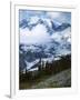 Mt. Rainier from Paradise Meadows, Mt. Rainier National Park, Washington, USA-Charles Gurche-Framed Photographic Print