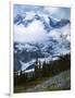 Mt. Rainier from Paradise Meadows, Mt. Rainier National Park, Washington, USA-Charles Gurche-Framed Photographic Print