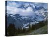 Mt. Rainier from Paradise Meadows, Mt. Rainier National Park, Washington, USA-Charles Gurche-Stretched Canvas